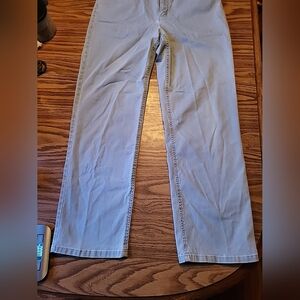 Talbots Sky Blue Stretch Pants